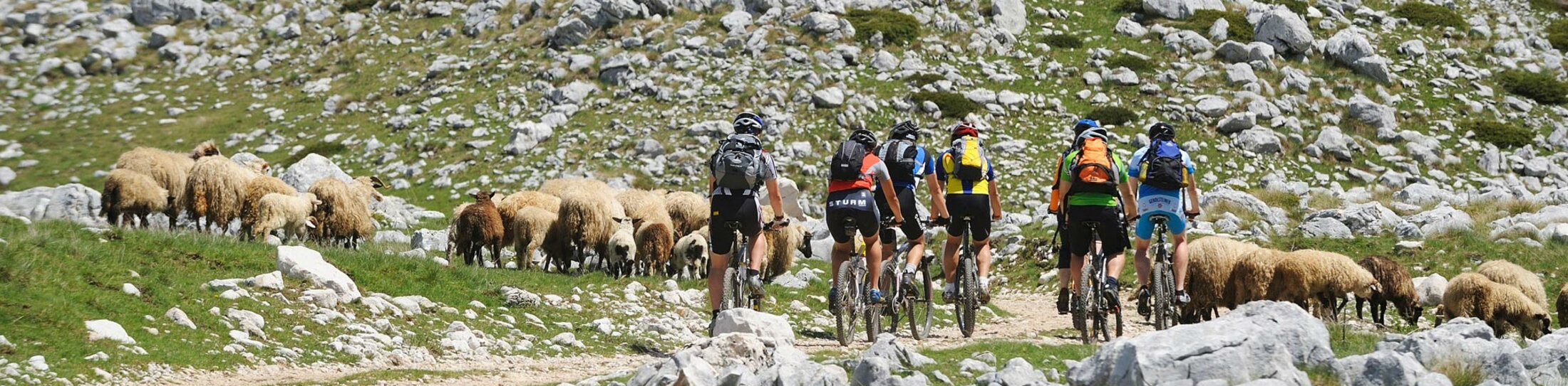 Il Montenegro offre un'ampia gamma di attività per i vacanzieri all'aria aperta e una natura incontaminata per l'agricoltura locale. | © Foto: djd/NTO – Montenegro Il Montenegro offre un'ampia gamma di attività per i vacanzieri all'aria aperta e una natura incontaminata per l'agricoltura locale. | © Foto: djd/NTO – Montenegro