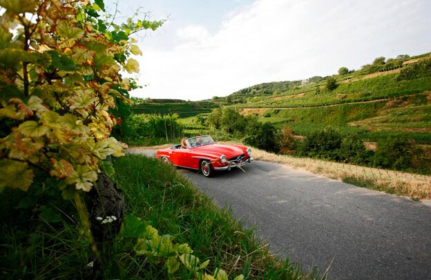 Giro tra i vigneti, Strada del vino del Baden | © Giro tra i vigneti © TMBW Düpper