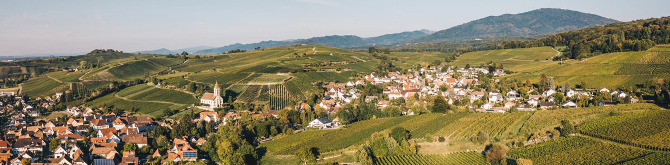 Auggen Panorama, Strada del Vino del Baden | © Auggen chiesa © Keller, Schwarzwald Tourismus Auggen Panorama, Strada del Vino del Baden | © Auggen chiesa © Keller, Schwarzwald Tourismus
