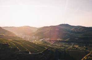 Alba sul Kaiserstuhl, Strada del vino del Baden | © Alba sul Kaiserstuhl © Keller, Schwarzwald Tourismus