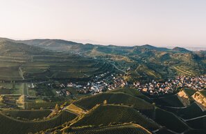Alba sul Kaiserstuhl, Strada del vino del Baden | © Alba sul Kaiserstuhl © Keller, Schwarzwald Tourismus