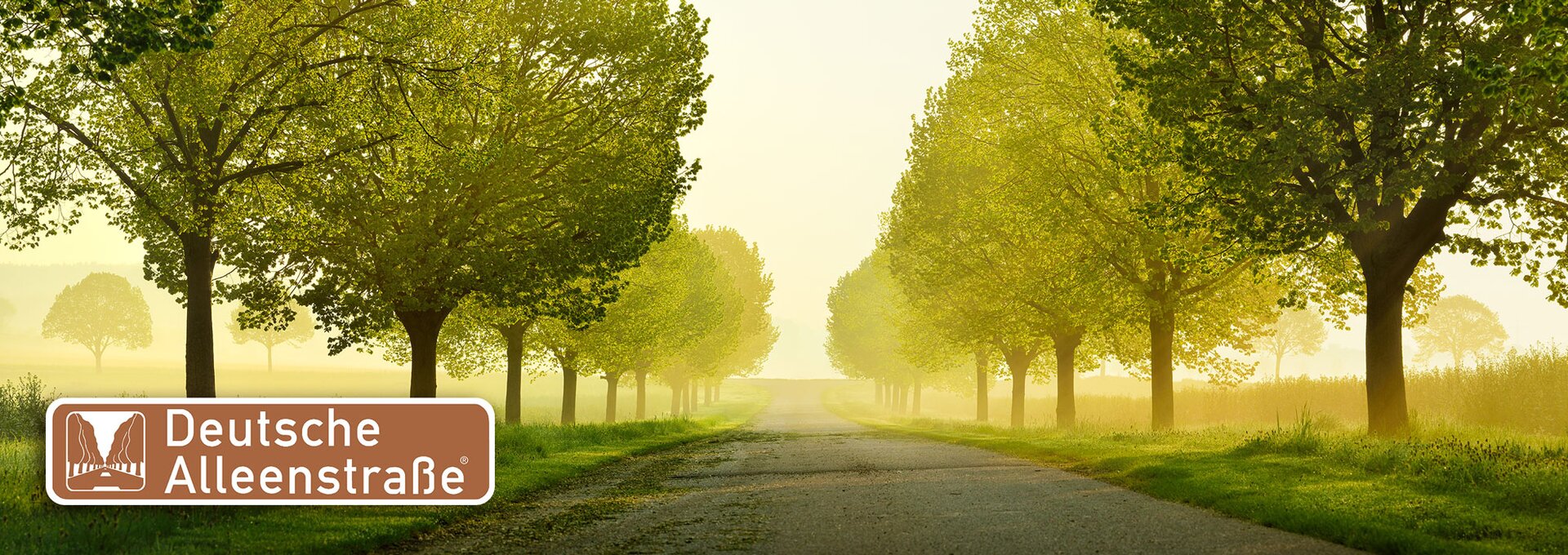 Deutsche Alleenstraße | © Lindenallee © Andreas Vitting - stock.adobe.com Deutsche Alleenstraße | © Lindenallee © Andreas Vitting - stock.adobe.com