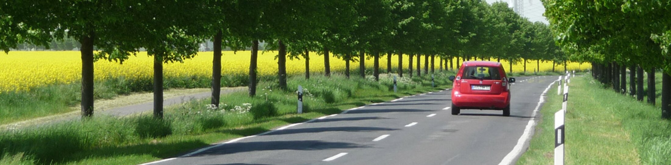 Deutsche Alleenstraße | © Deutsche Alleenstraße neu 2017 © Arge Deutsche Alleenstraße e.V. Deutsche Alleenstraße | © Deutsche Alleenstraße neu 2017 © Arge Deutsche Alleenstraße e.V.