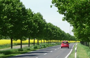 Deutsche Alleenstraße | © Deutsche Alleenstraße neu 2017 © Arge Deutsche Alleenstraße e.V.
