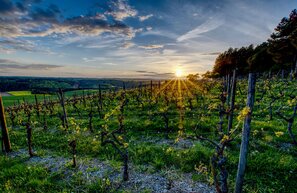 © © Tourismus Wertheim GmbH