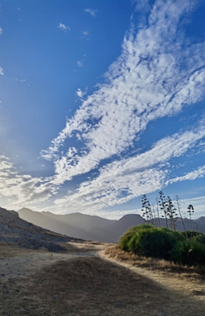 Playa de los Genoveses - Almeria | © Playa de los Genoveses - Almeria - Foto: Manuel Schmid