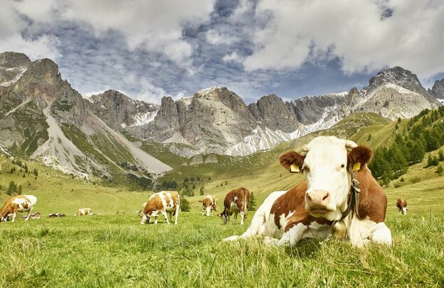 Grande Strada delle Dolomiti | © Foto: Trentino Sviluppo S.p.A, Carlo Baroni